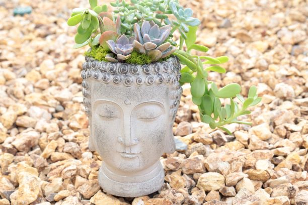 Buddha Succulent Planter