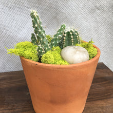 Load image into Gallery viewer, Terracotta Succulent Planter
